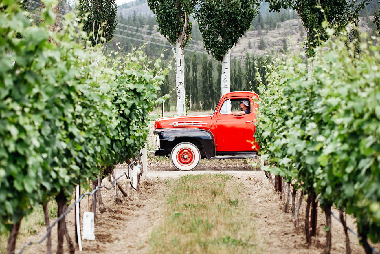 vintage red truck in vineyard in Oliver, BC