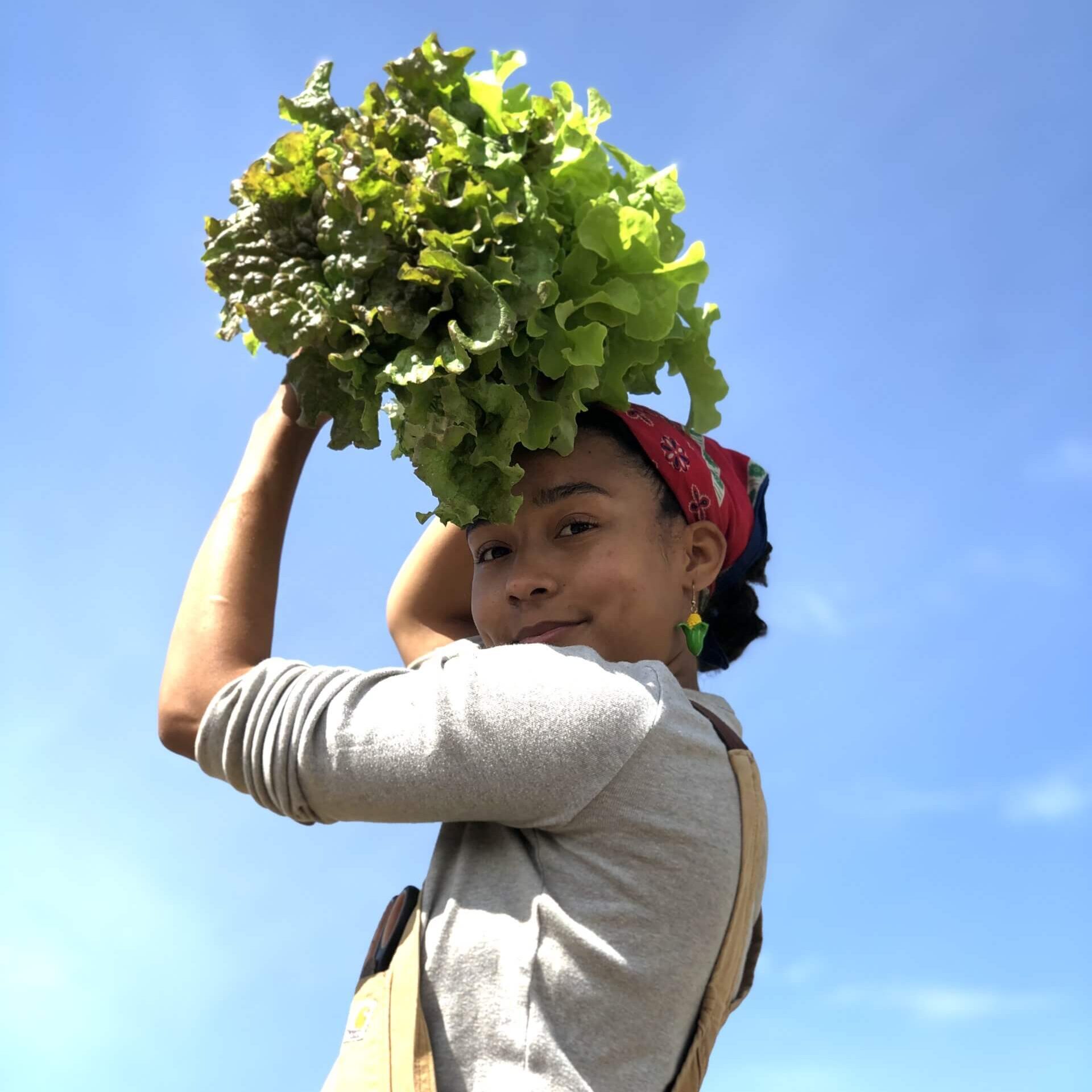 A woman photographed from below holding lettuce over her head.