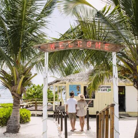 palm trees and arch with people walking under it