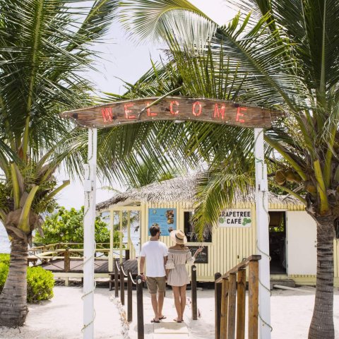 palm trees and arch with people walking under it