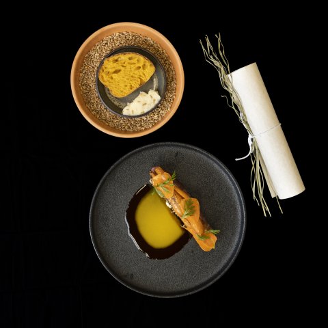 plates on black background