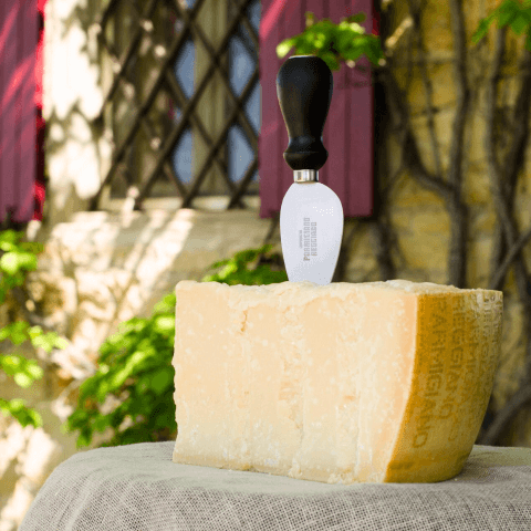 wedge of parmigiano reggiano cheese with knife is a part of discovering Parmigiano Reggiano