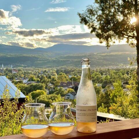 Two classes of wine and a bottle on a balcony railing overlooking a sprawling green view