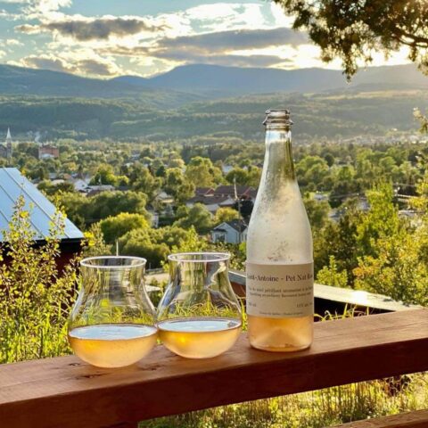 Two glasses of wine and a bottle on a balcony railing overlooking a sprawling green view.