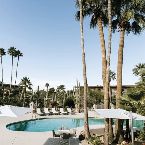 An outdoor pool in the desert with sun loungers and palm trees visible around it