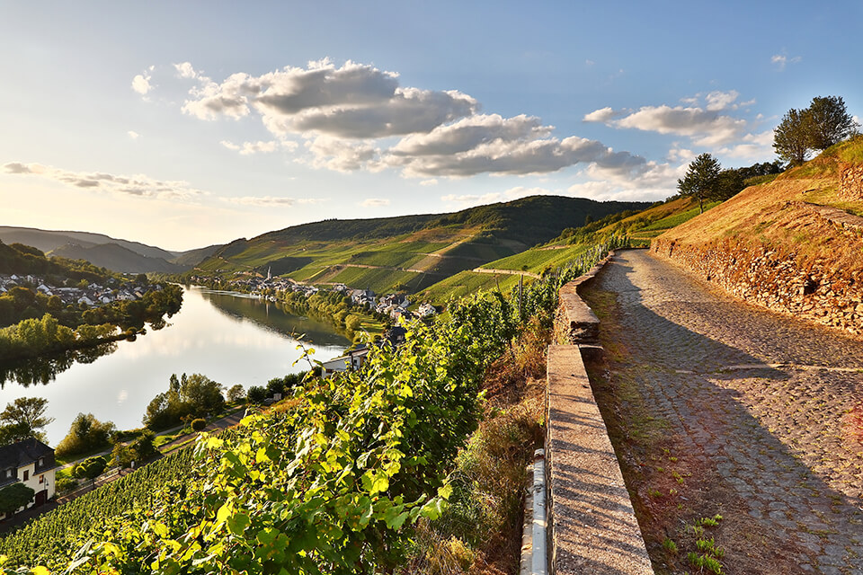 A bridge overlooking vineyards and the countryside