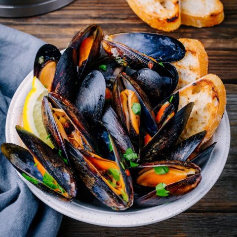 dish of steamed mussels