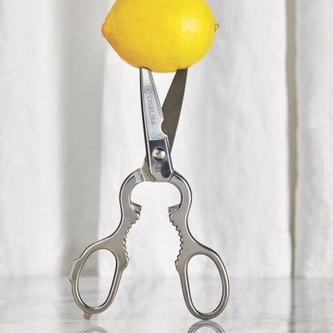 pair of scissors