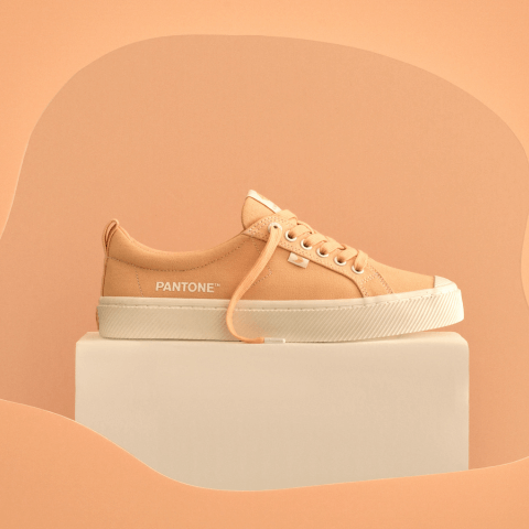 peach-coloured shoe against peach backdrop
