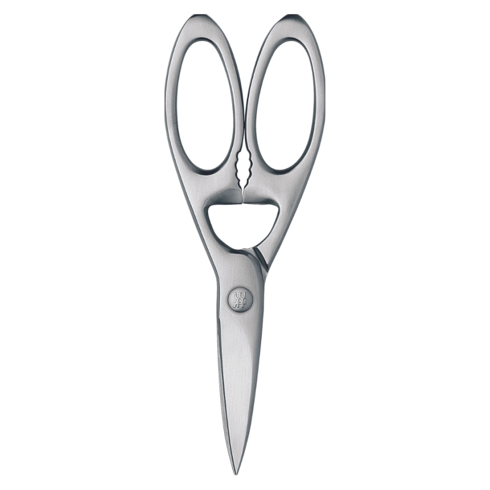 pair of scissors