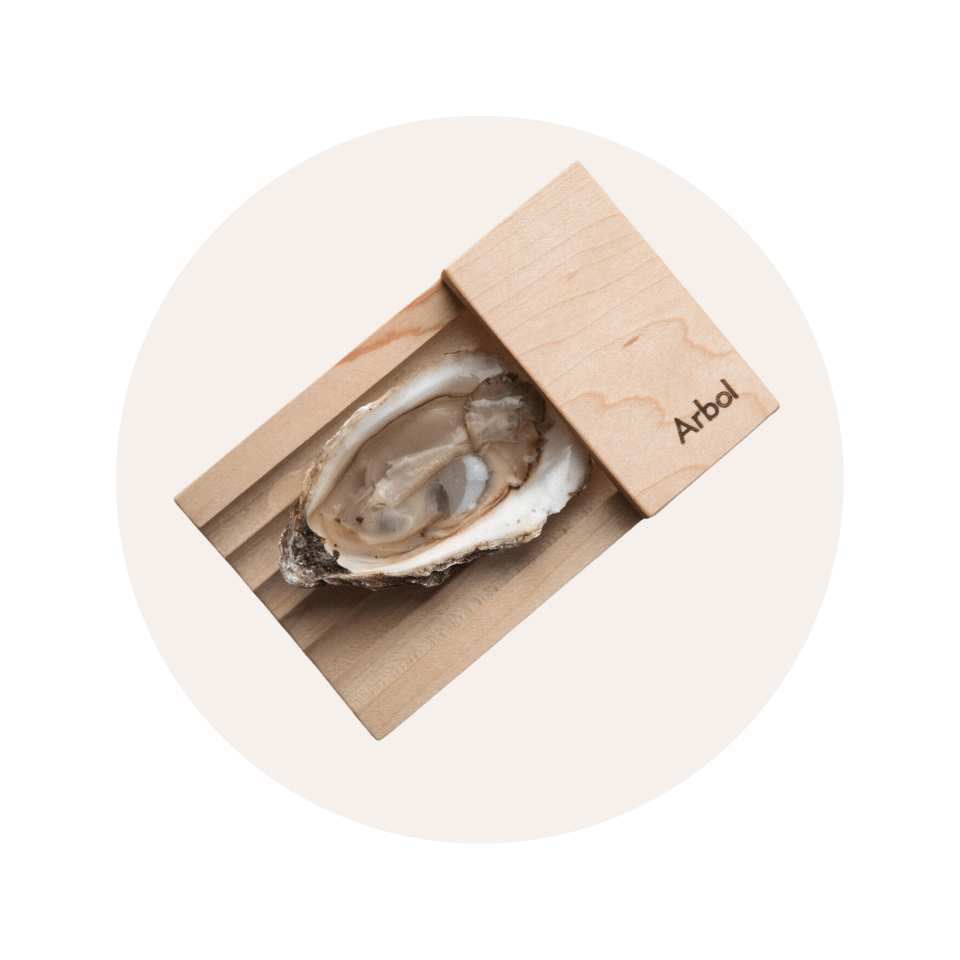 oyster sitting on wooden background