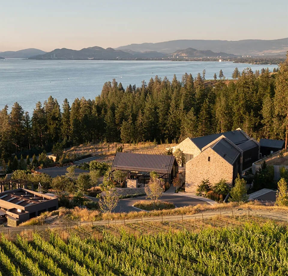 landscape view of vineyard , house and mountains
