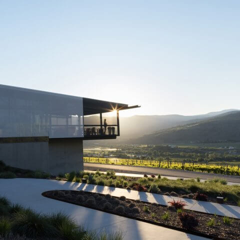 Okanagan Valley vineyard at Sunset with modern building and rows of grapevines is a setting for wishlist-worthy wines