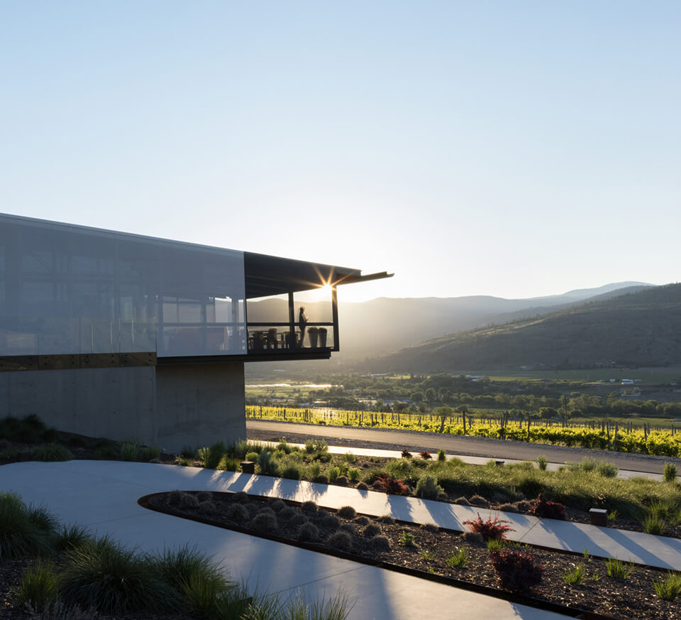 Okanagan Valley vineyard at Sunset with modern building and rows of grapevines is a setting for wishlist-worthy wines