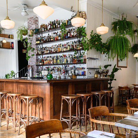 A dining room with a wooden bar and hanging houseplants