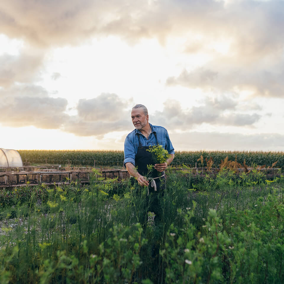 A man, Michael Smith, stands outside among crop rows under an overcast sky