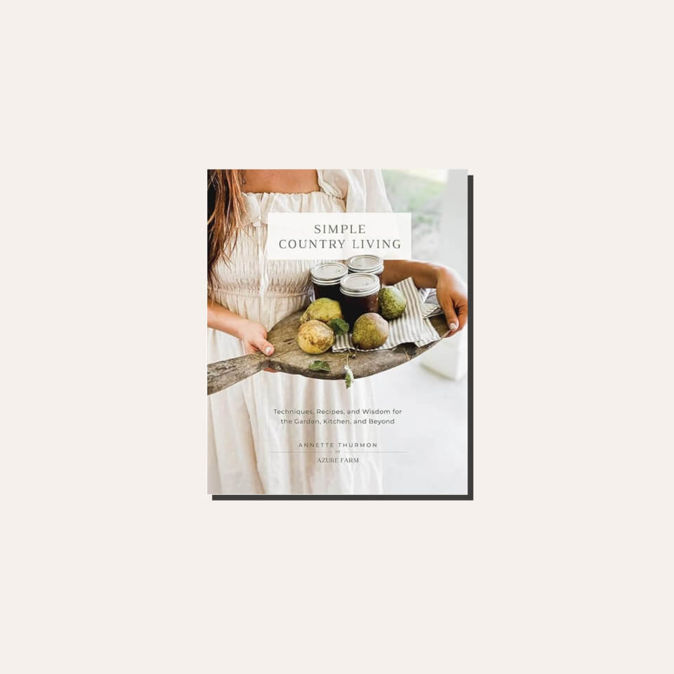 A book cover in a light frame