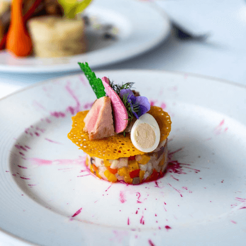 plate of gourmet food