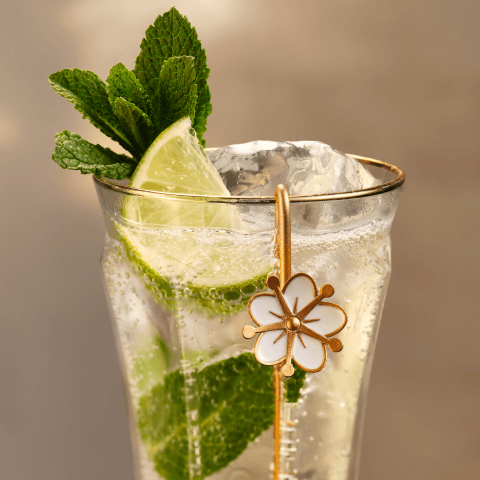 glass with mint, clear liquid and lime