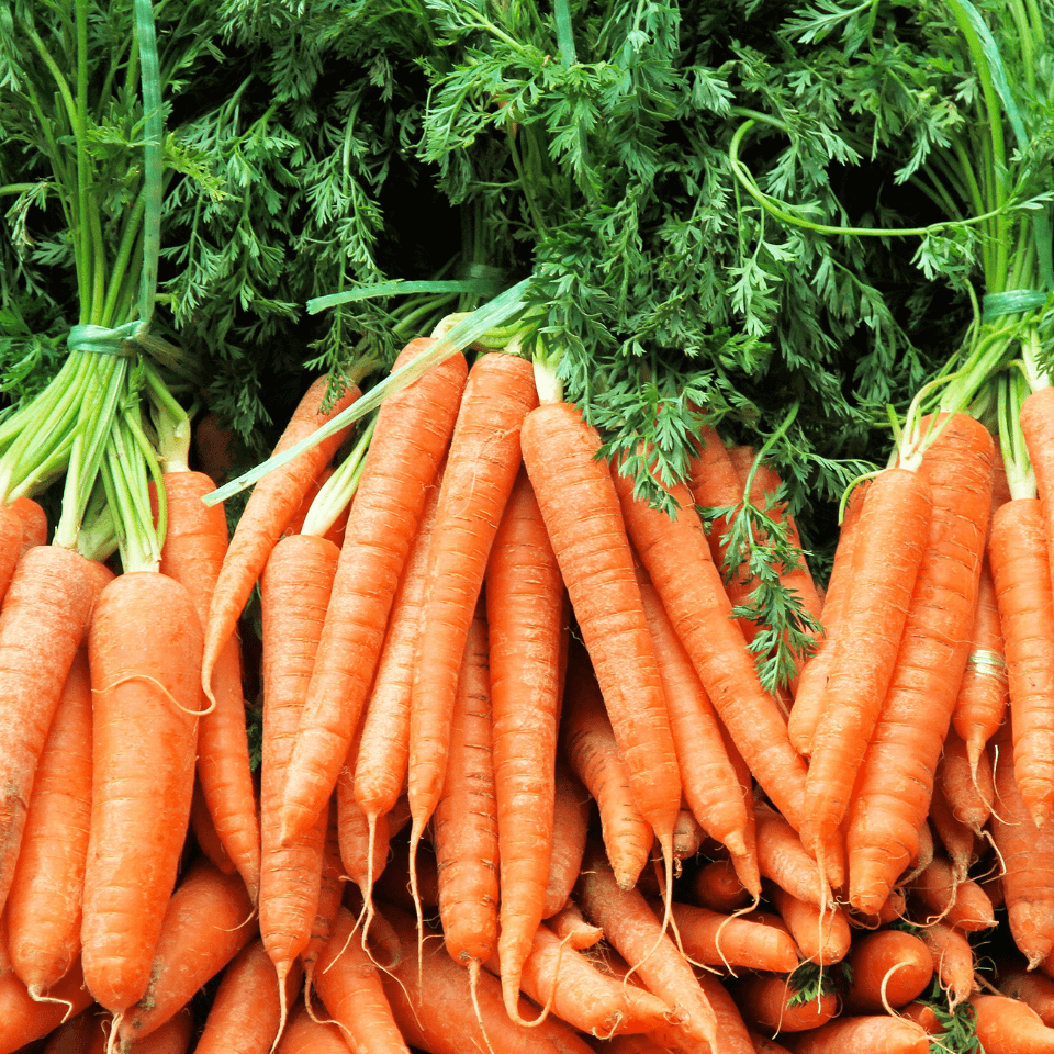 overhead image of gresh carrots