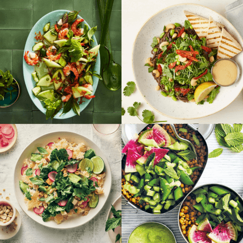 Graphic images of salads