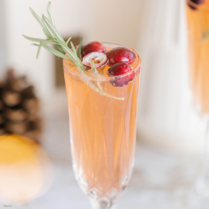 close-up of cocktail with cranberries