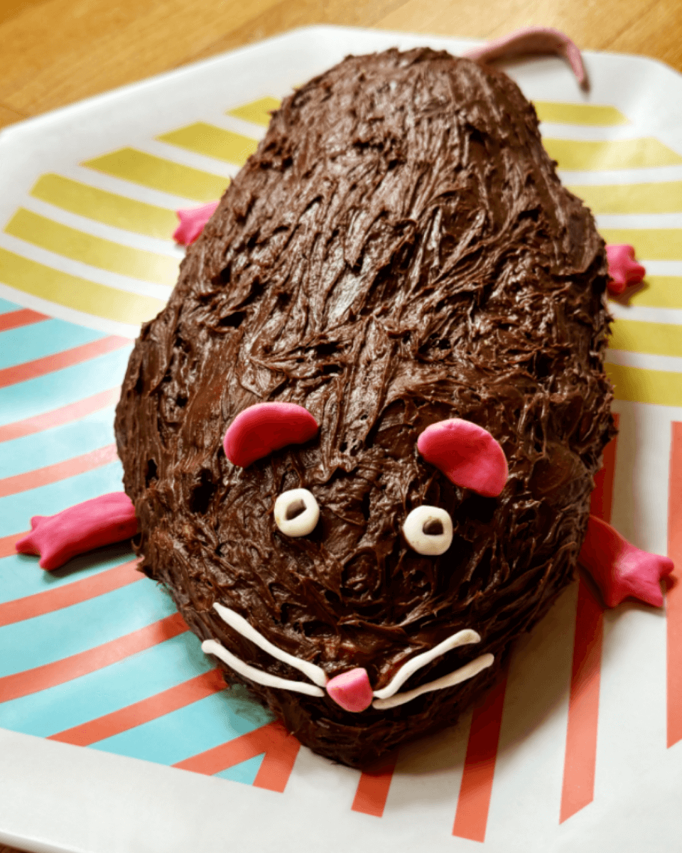 cake shaped like a rat with chocolate icing
