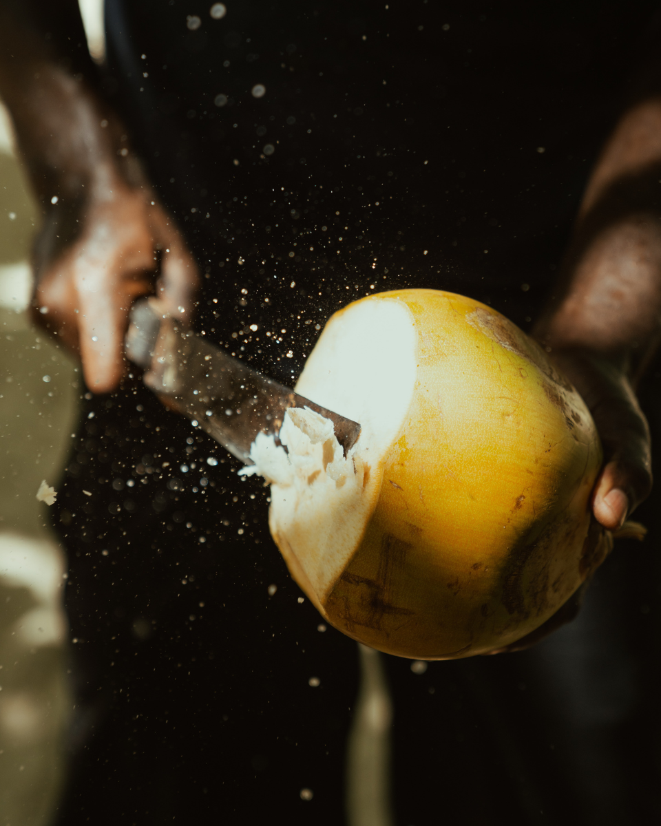 Cutting a fresh coconut with a machete