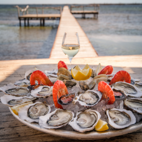oysters and shrimp in southern france