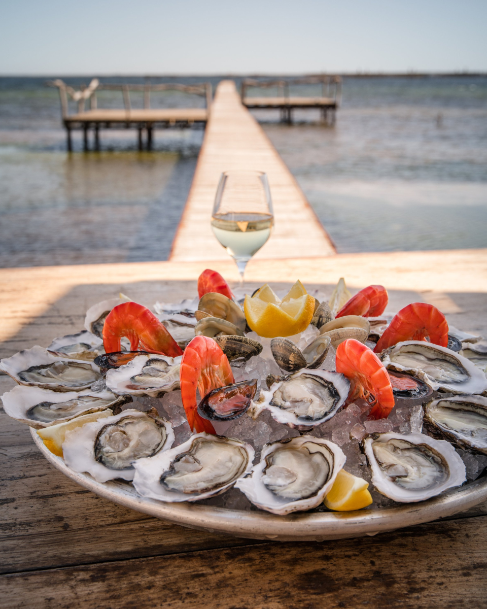 oysters and shrimp in southern france