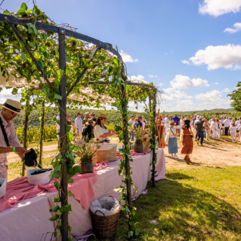 Harvest festival at Bodega Garzon in Uruguay