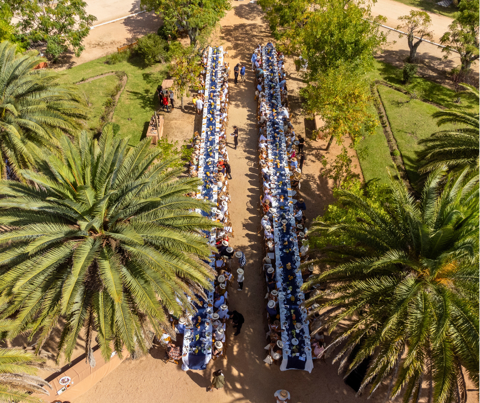 Bodega Garzón Harvest Festival aerial shot in town square, Uruguay