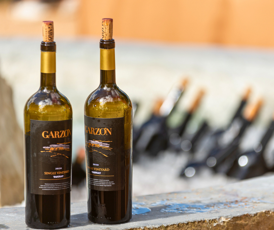 Bodega Garzón bottles of red Wine in Fountain filled with ice