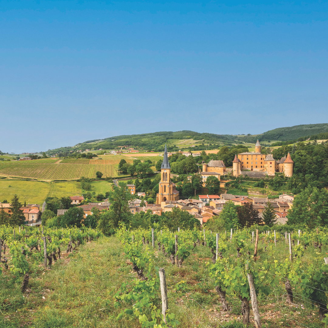 An open field with orange buildings in the background.