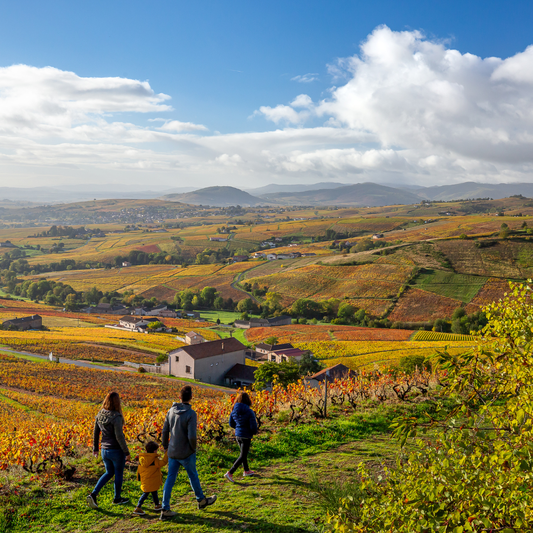 Two adults and two children walking along a path overlooking orange and yellow fields.