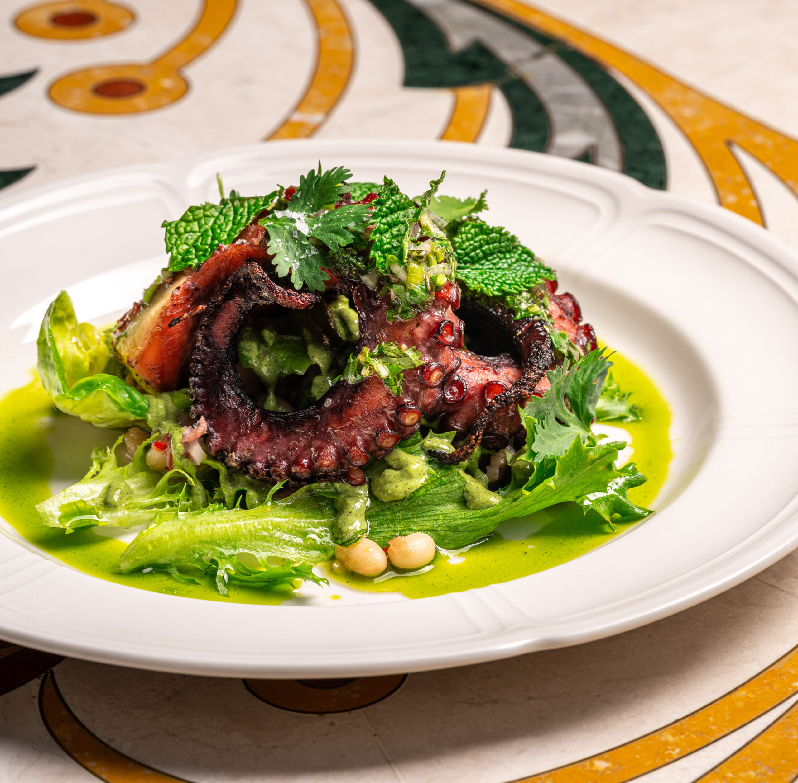 White plate topped with grilled octopus, potatoes, white beans and herbs in a green sauce.