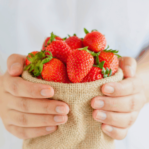 hands holding a basket of beautiful California strawberries