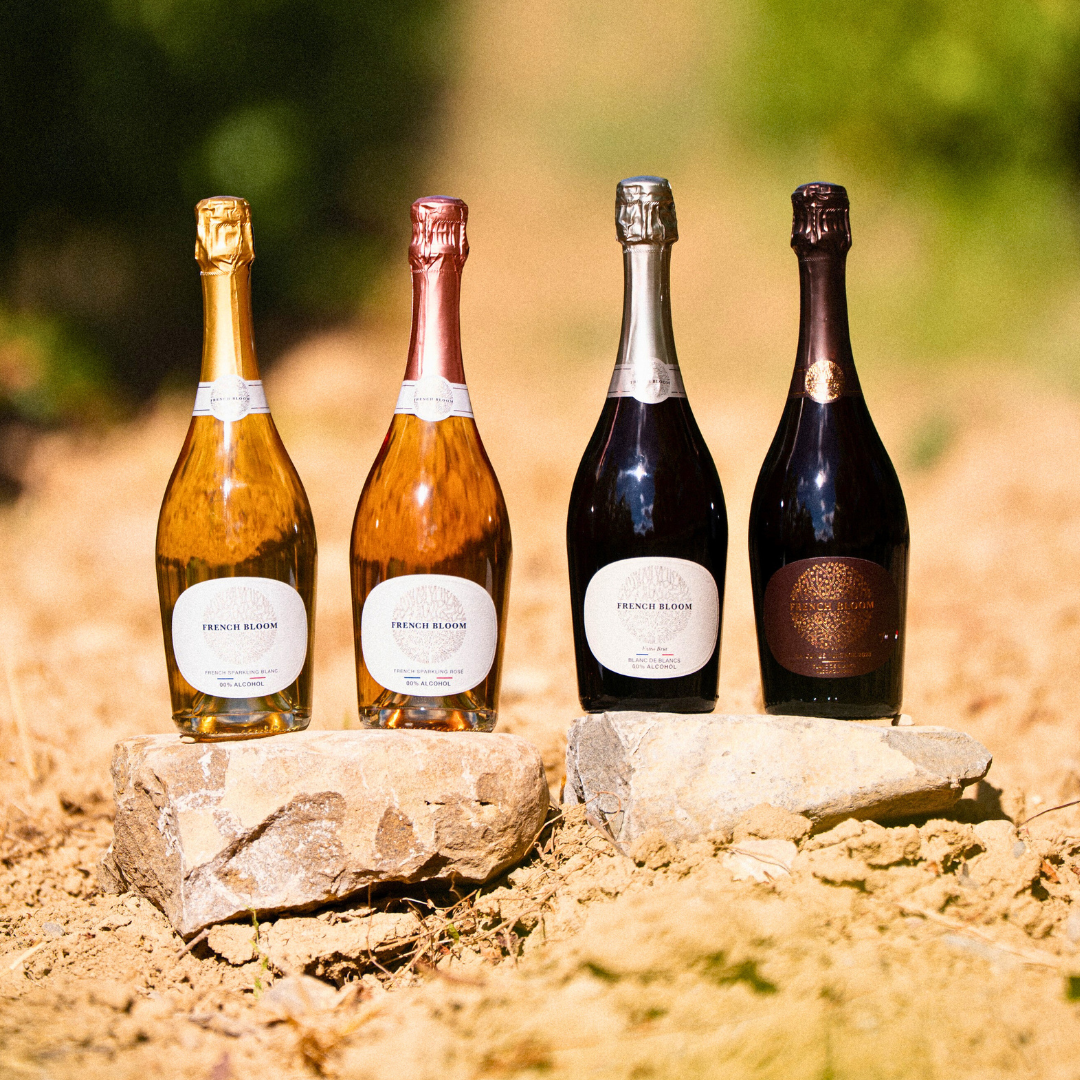 Four bottles of French Bloom, a luxury non-alcoholic wine on two rocks in the middle of an aisle in a vineyard.