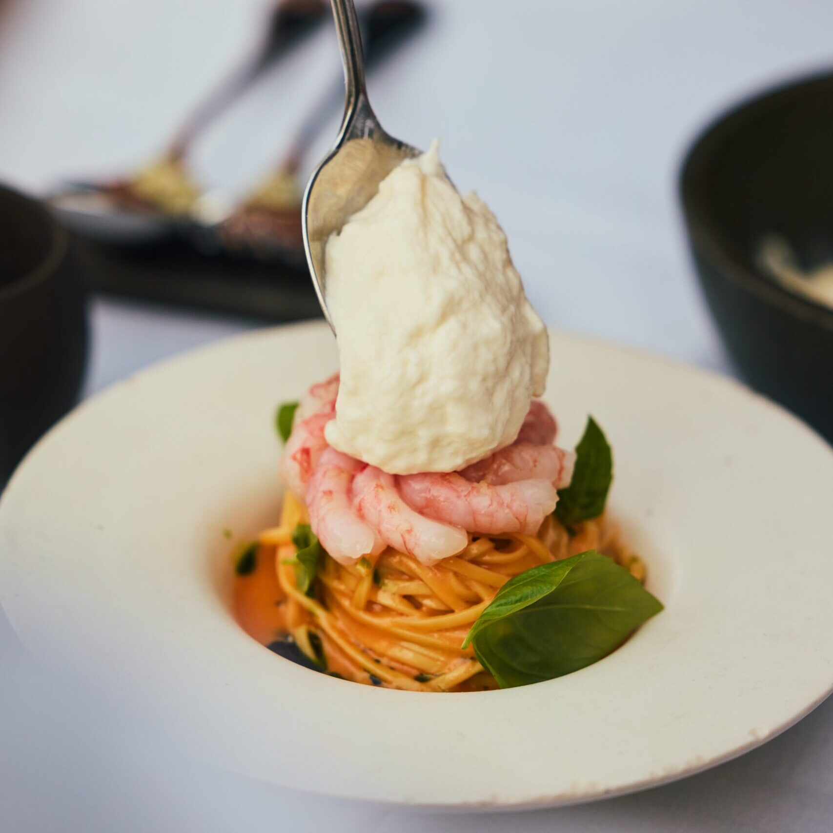 A silver spoon placing creamy straciatella on top of raw matane shrimp and pasta with basil leaves in a white dish.