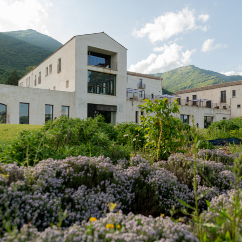 Exterior view of a gray building with large windows behind large green and purple bushes.