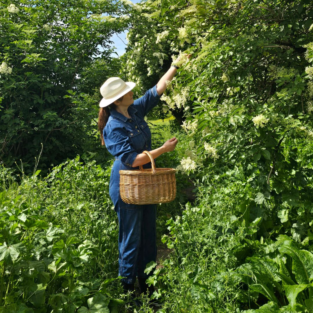 Erin McLaughlin Picking Elderflowers in France