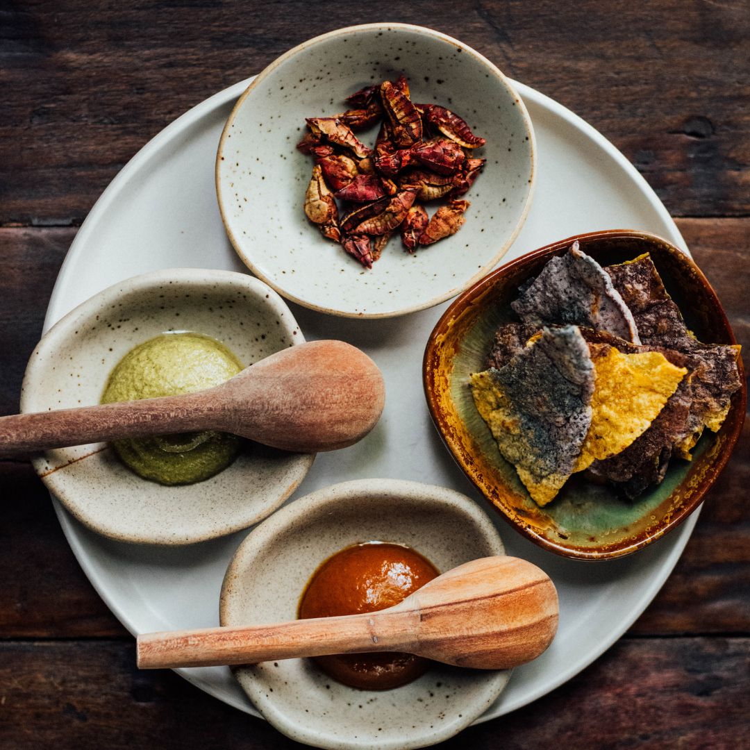 Heirloom corn tostadas with chapulines and house-made salsas at Alma in Montreal