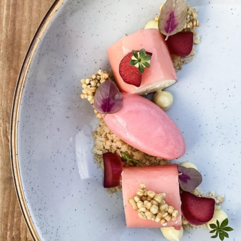 Rhubarb and ice cream on a white speckled plate.