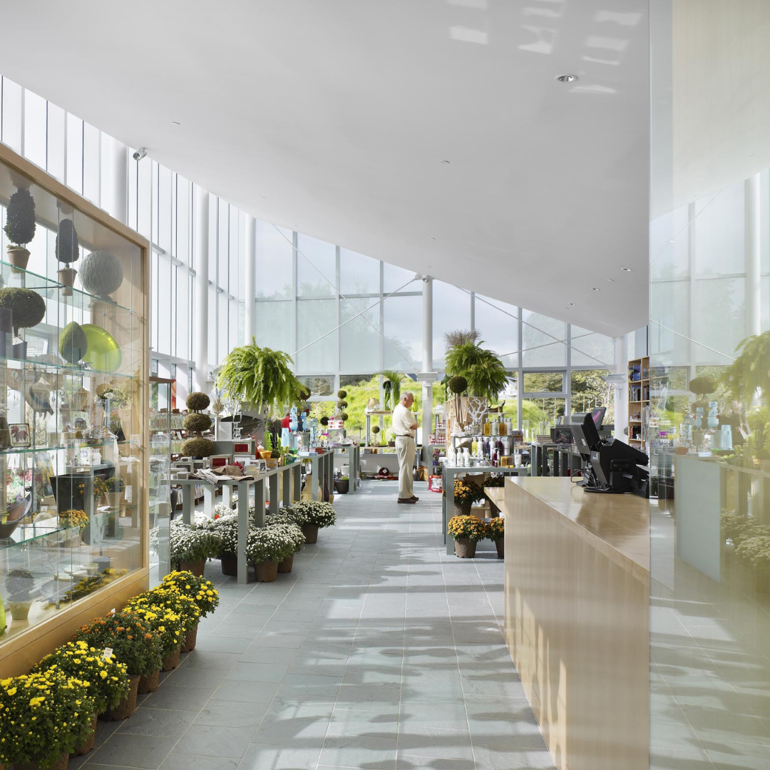 A brightly lit store with plants. 